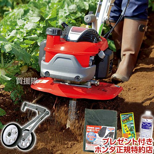 000000008922-01-m.jpg?t=