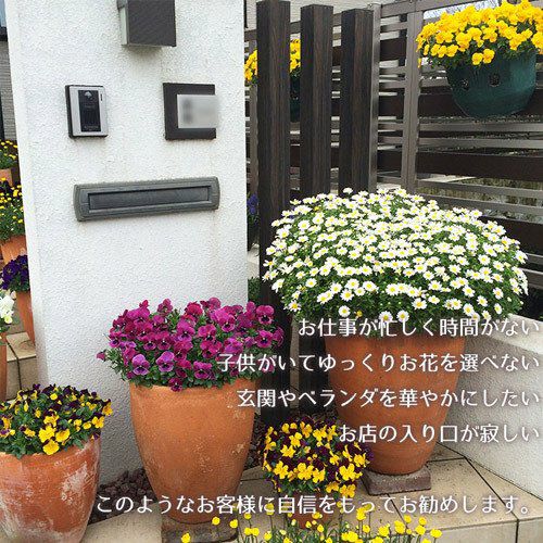 季節の花 寄せ植え タル型 黒/白 花苗6ポット 1187 | 買援隊(かいえんたい)