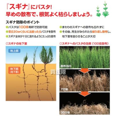 法人限定》BASF 除草剤 バスタ液剤 5L×3本 + バスタノズル動力用LV35 +